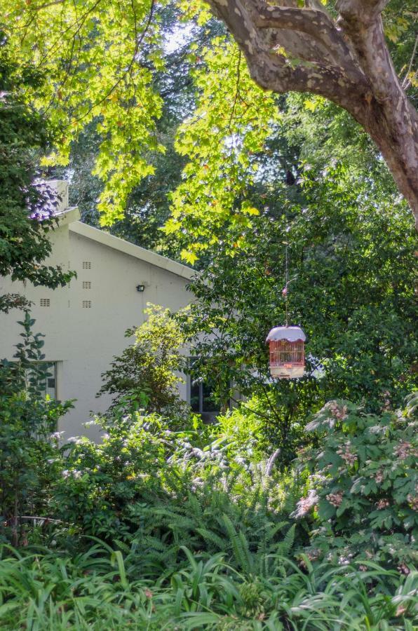 Garden Place Guest Houses Johannesburg Eksteriør billede